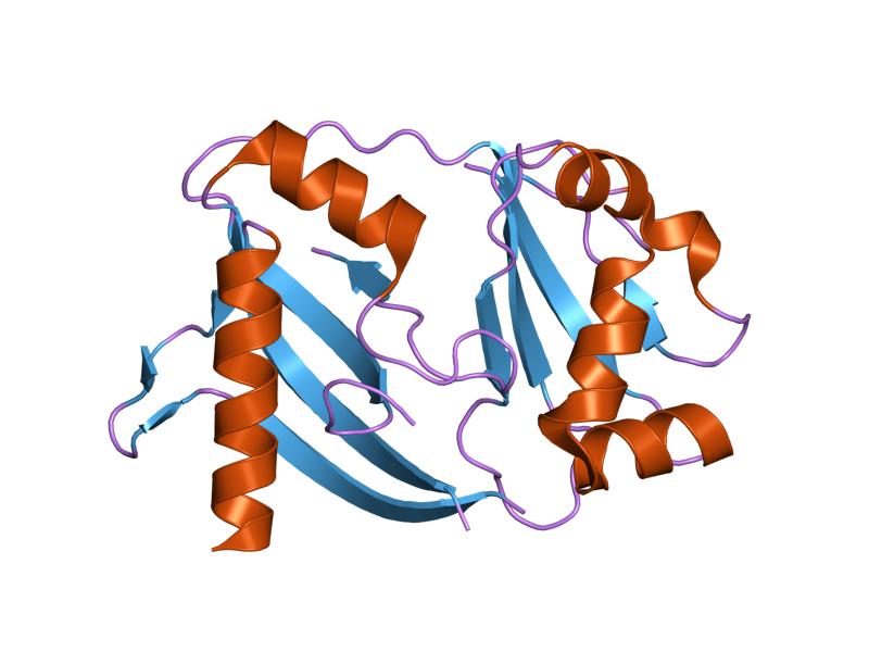 CRISPR