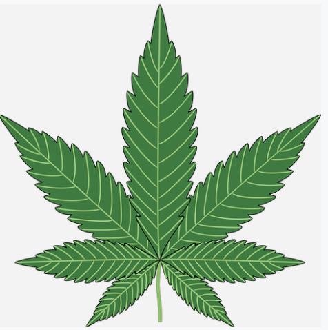 Cannabis leaf