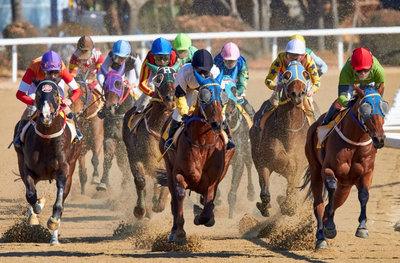The Triple Crown Horse Races and Some Racing-Related Stocks