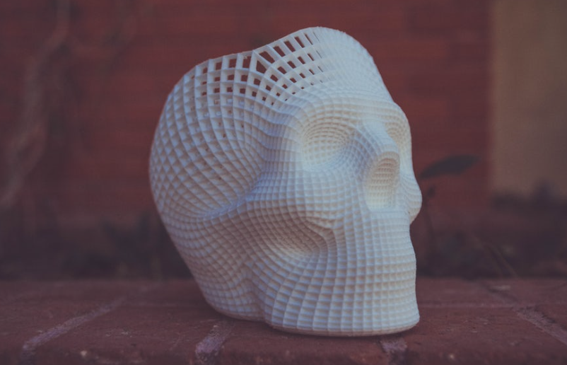 3D printed skull