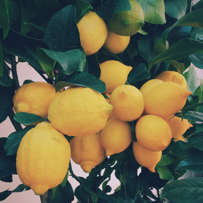 lemons