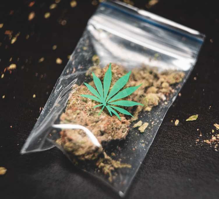 High Yield Cannabis Stocks