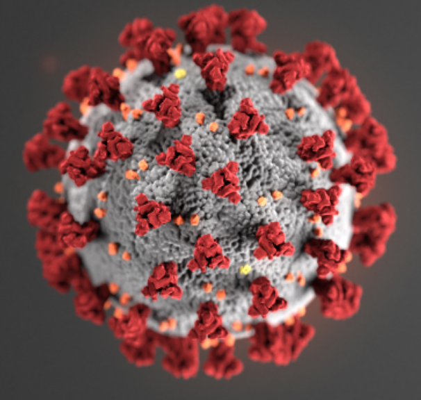 Coronavirus