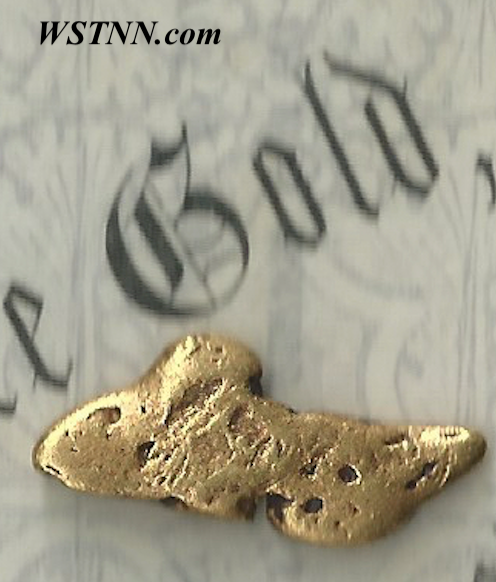 Gold Nugget