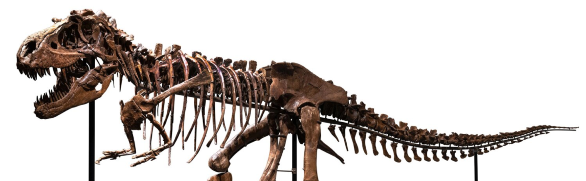 Dinosaur - Credit: Sotheby's