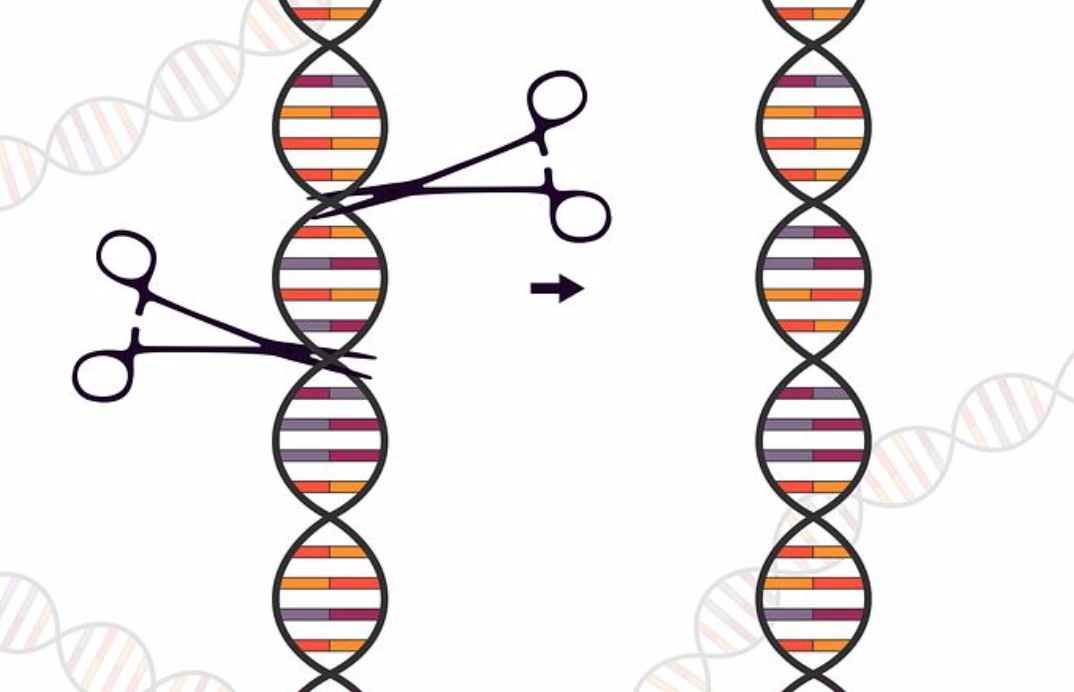 Top CRISPR Stocks